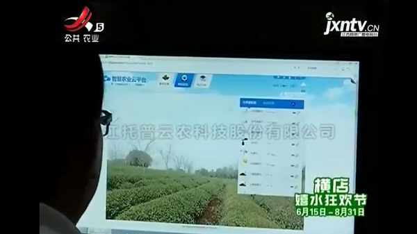 江西公共卫视播报修水果菜茶替代项目