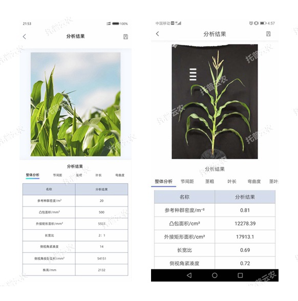 玉米株型分析系统手机软件界面