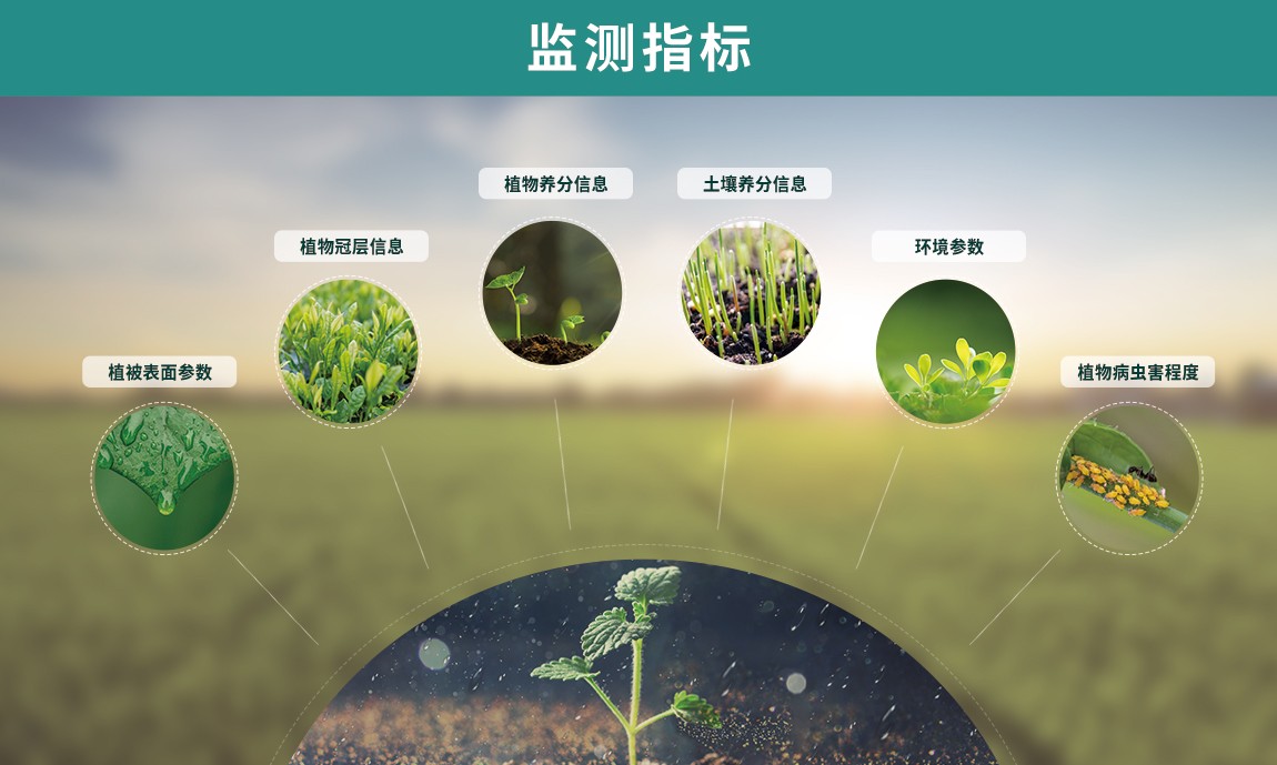 植物冠层图像分析仪监测指标