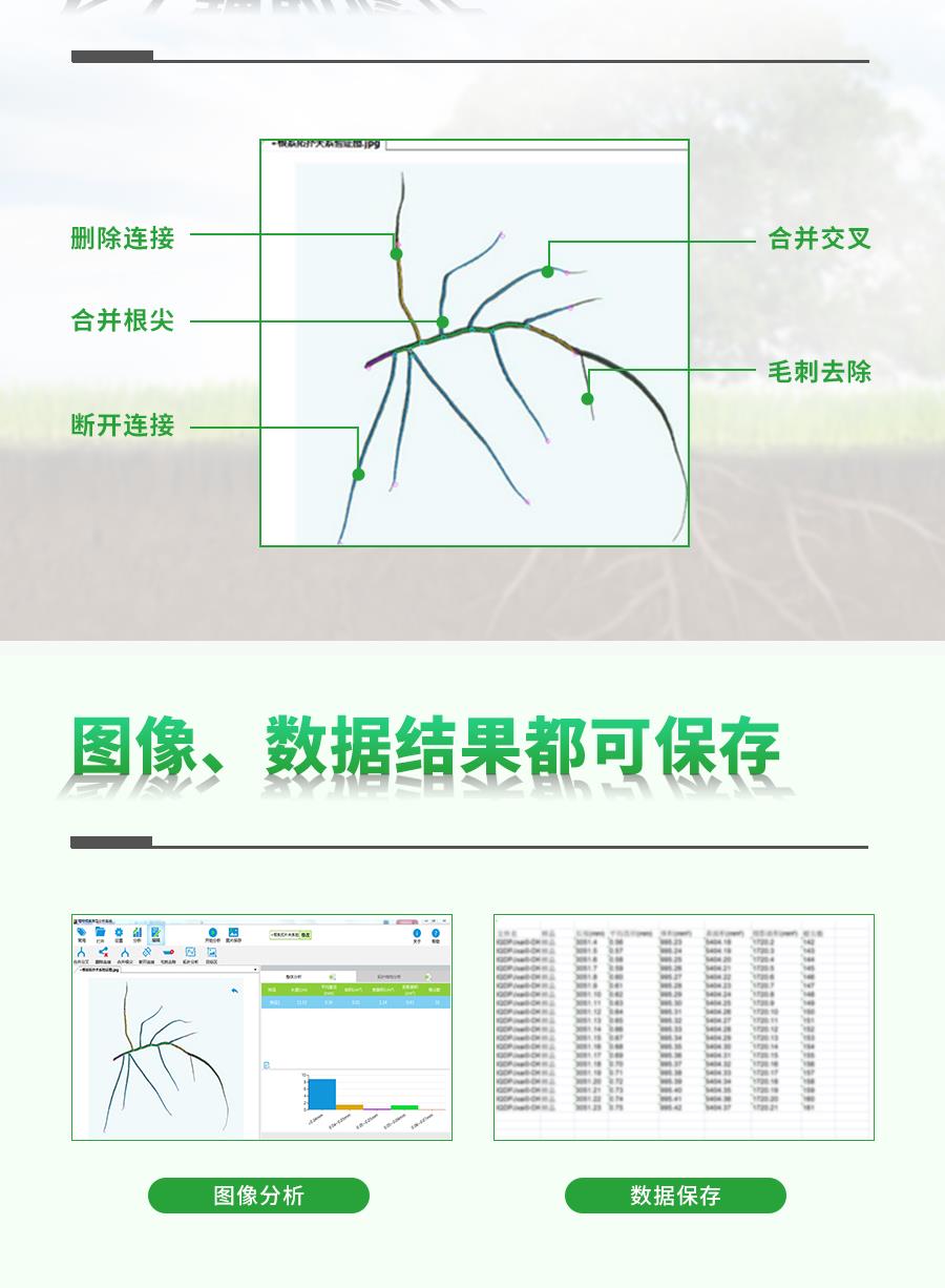 植物根系分析仪