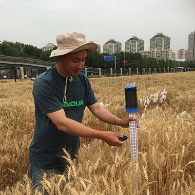 小麦株高测量仪