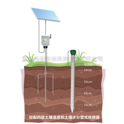 管式土壤墒情监测站 TPGSQ-4