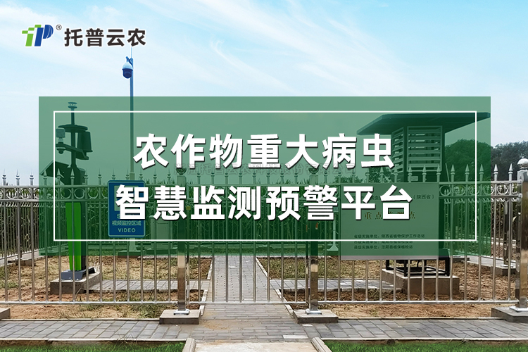 农作物重大病虫智慧监测预警平台