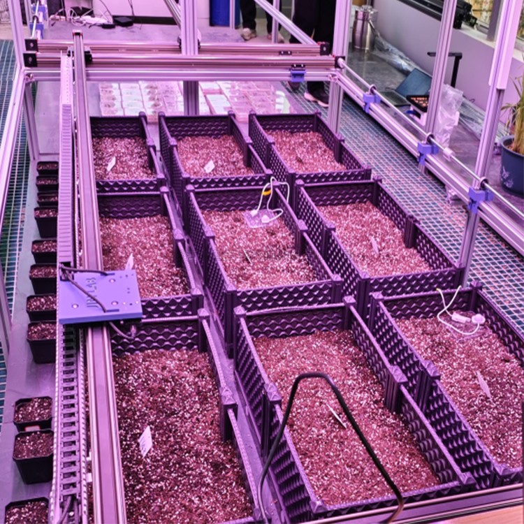 室内种子萌发表型监测系统TPN-SeedPhy