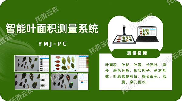智能叶面积测量系统——秒级快速测叶片，多参数同步解析，云端数据好管理