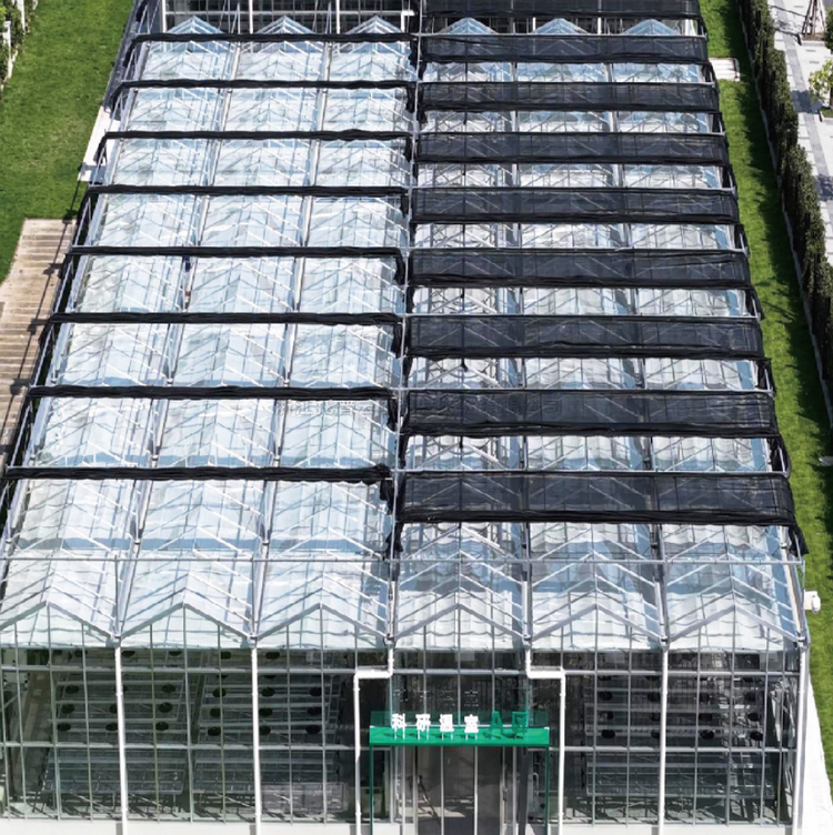 温室型人工气候室/