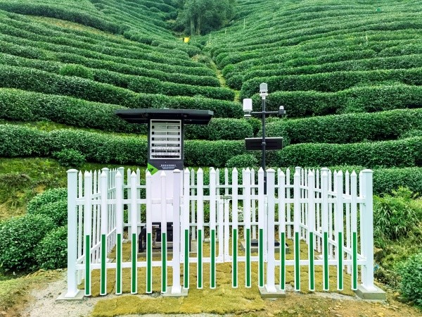 托普云农发布“问稷茶数”智能体，赋能茶产业数智升级