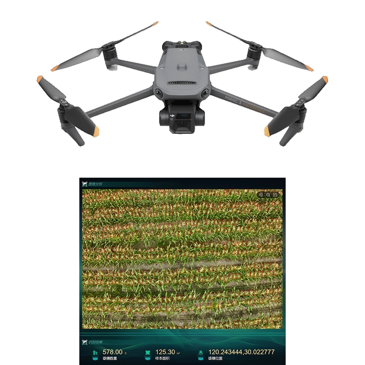 玉米表型生长监测系统TP-KJG-YM