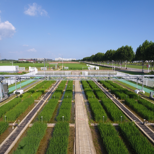 龙门式高通量表型采集分析平台（地轨式）TPN-GTL-GT1