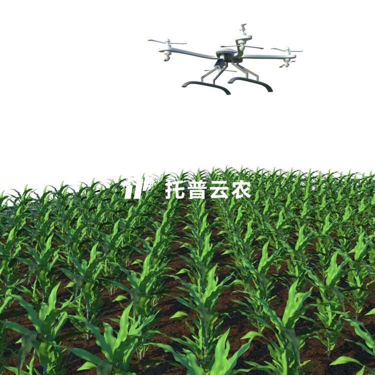 田间无人机式高通量植物表型采集分析平台