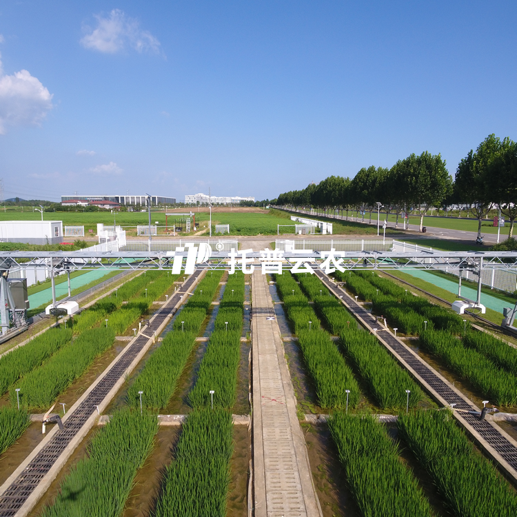 龙门式高通量表型采集分析平台（地轨式） TPN-GTL-GT1