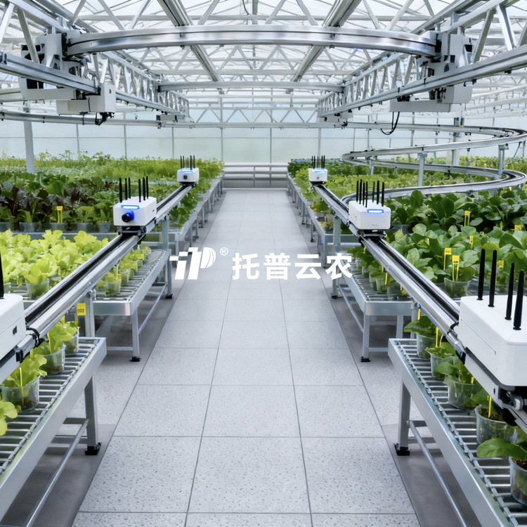 温室巡轨式表型采集分析系统 TP-DG-1\TP-DG-3