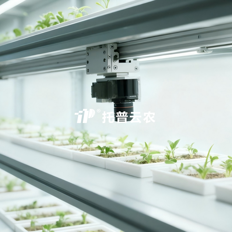 室内种子萌发表型监测系统 TP-SeedPhy