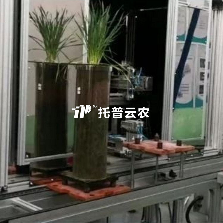 高通量植物根系表型采集分析系统（根筒式） TPN-GXY-GT