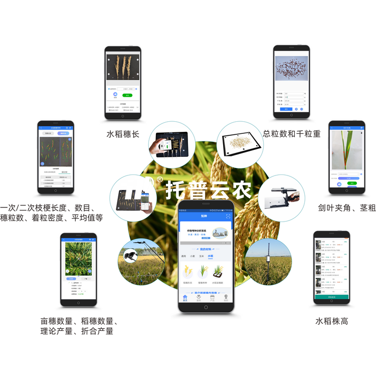 水稻表型检测系统 TPS-BX-2