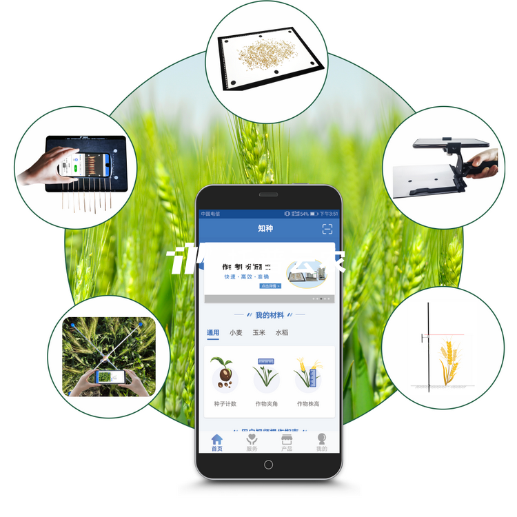 小麦表型检测仪 TPM-BX-1/TPM-BX-2