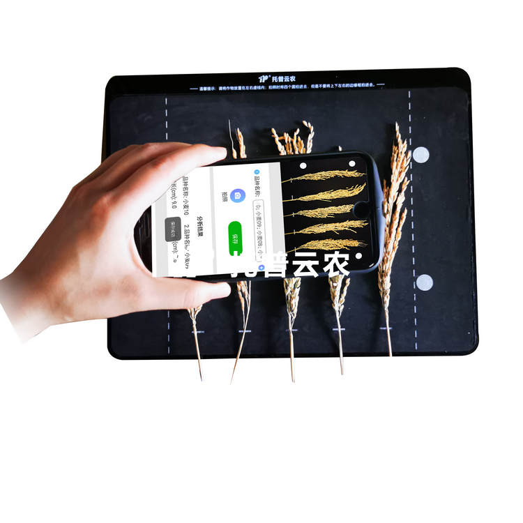 稻穗形态测量仪 TPDS-X-1