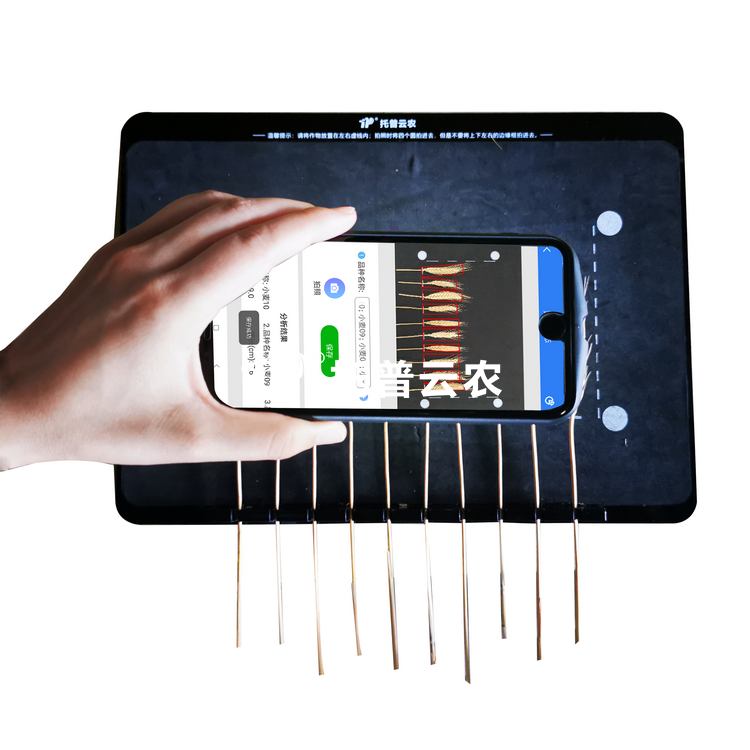 麦穗形态测量仪 TPMS-X-1