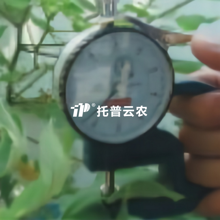 叶片厚度测定仪 YH-1