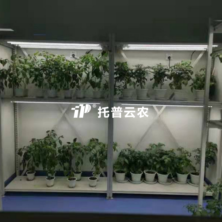 植物病理研究室