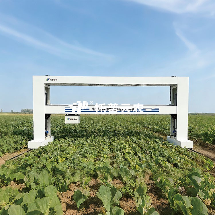 龙门式高通量表型采集分析平台（地轨式） TPN-GTL-GT1