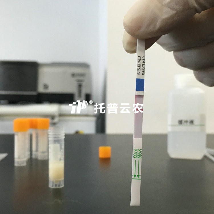 转基因快速检测试纸（抗除草剂）EPSPSCP4