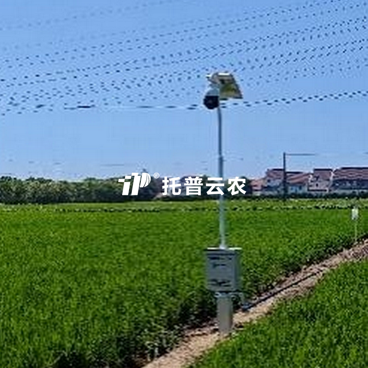 自动赶蛾智能统计杆 TP-GESB2.0