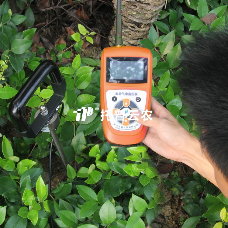 土壤紧实度测定仪