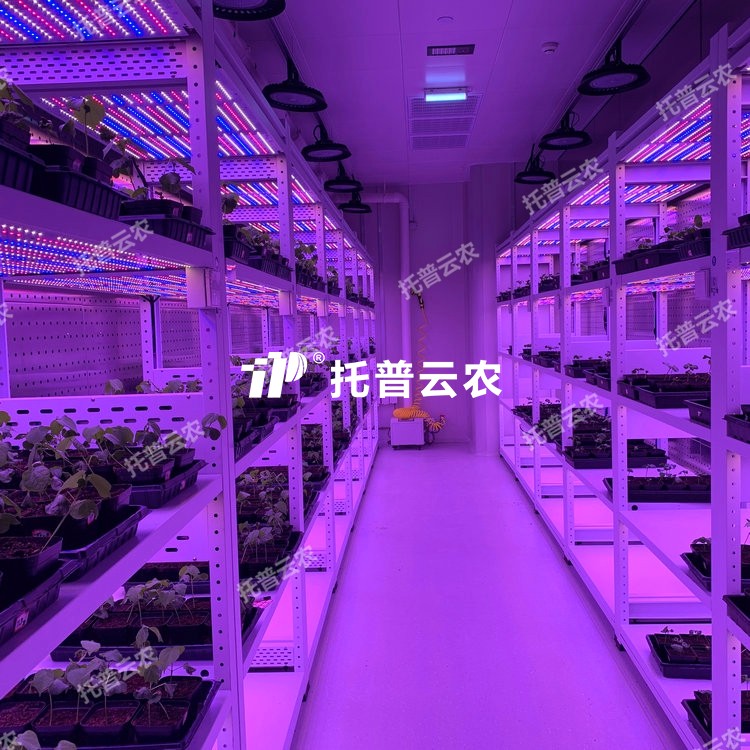 培养架型人工气候室介绍|培养架型人工气候室核心亮点有哪些？
