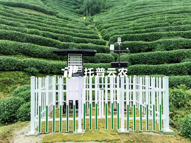 智慧茶园综合解决方案|智慧茶园数字化建设方案