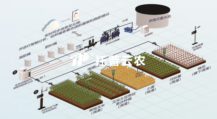 水肥一体化项目建设方案|智能水肥一体化项目实施方案