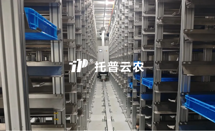 种质资源库建设方案（2026年）【含建设标准】