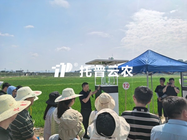 从“监测”到“智判”！托普云农智能（AI)虫情测报灯重磅发布，智慧植保迈入“智判”时代