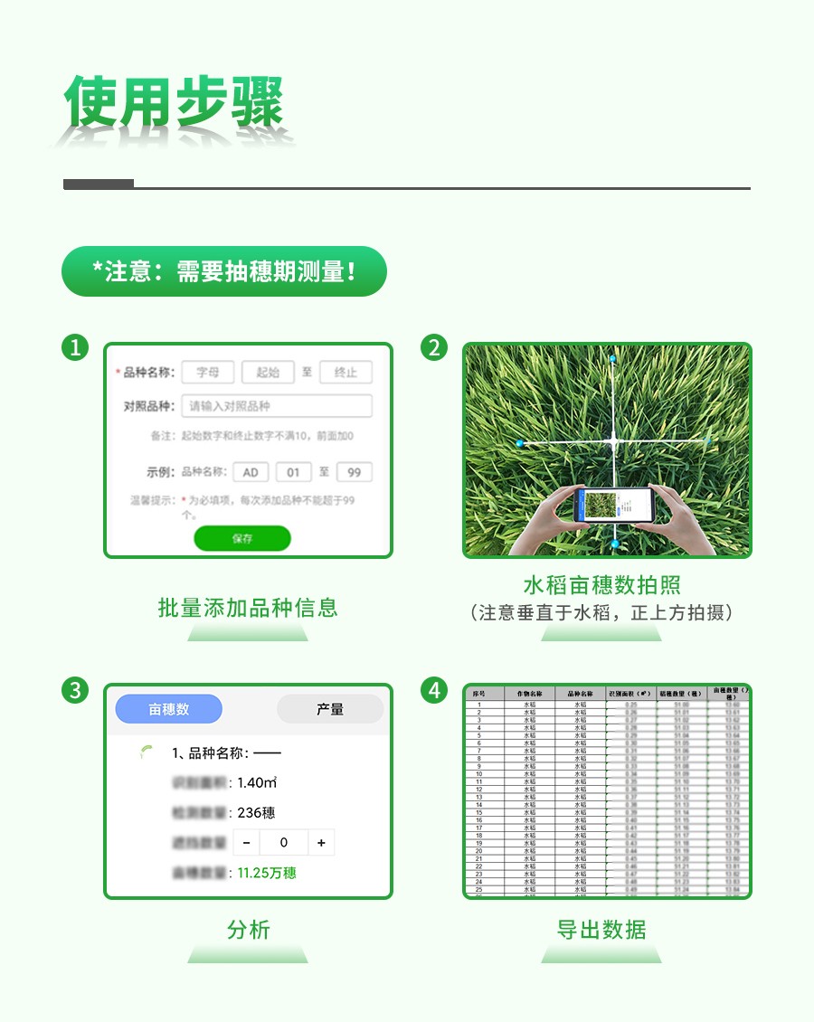 水稻亩穗数测量系统