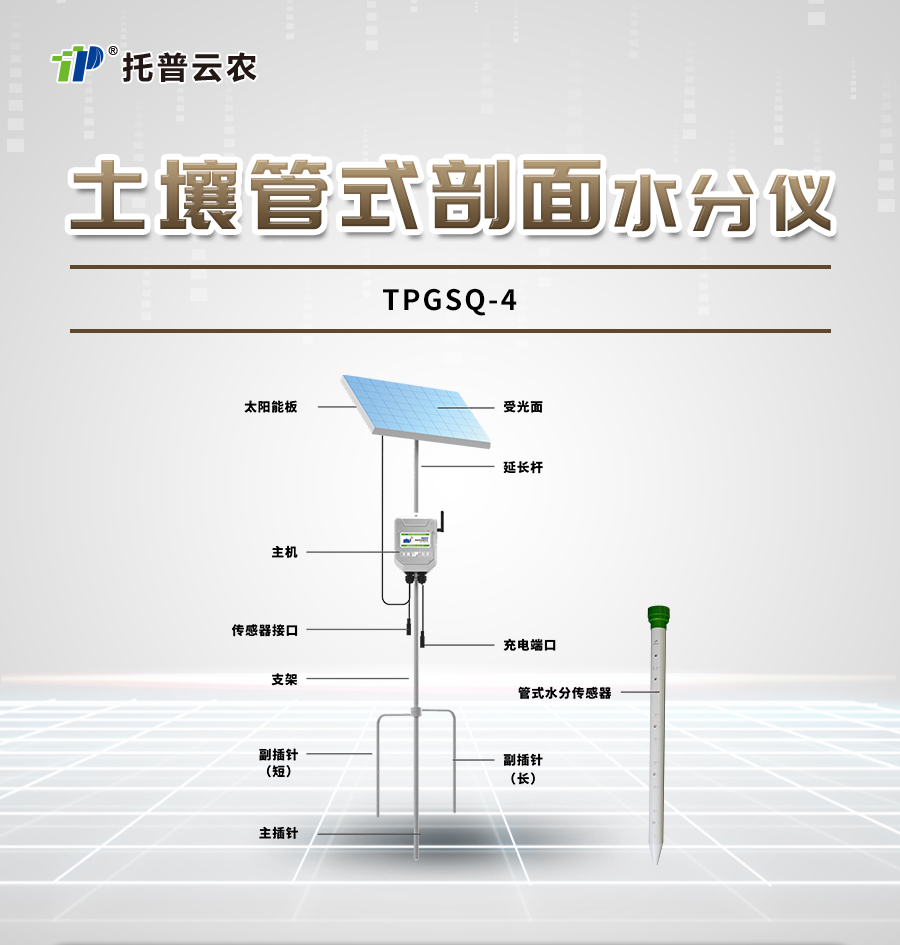 土壤剖面水分仪