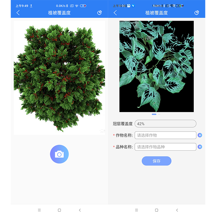 森林覆盖度.png