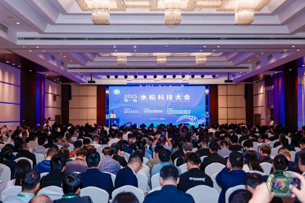 1761555023714193.jpg 图片01_副本.jpg