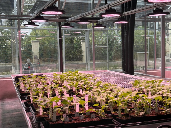 1761901226234565.jpg 图四_副本.jpg