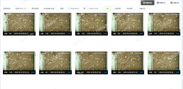 1762237410263335.png 虫情列表.png