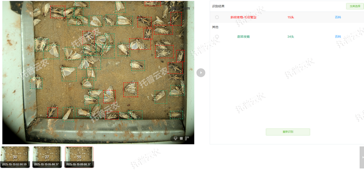 1762237460715296.png 智能识别计数.png