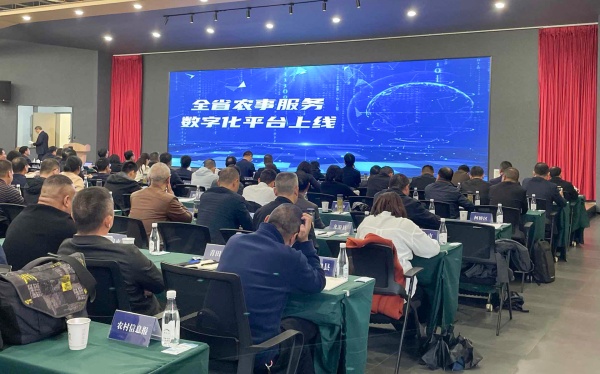 1763436241663288.jpg 图片2_副本.jpg