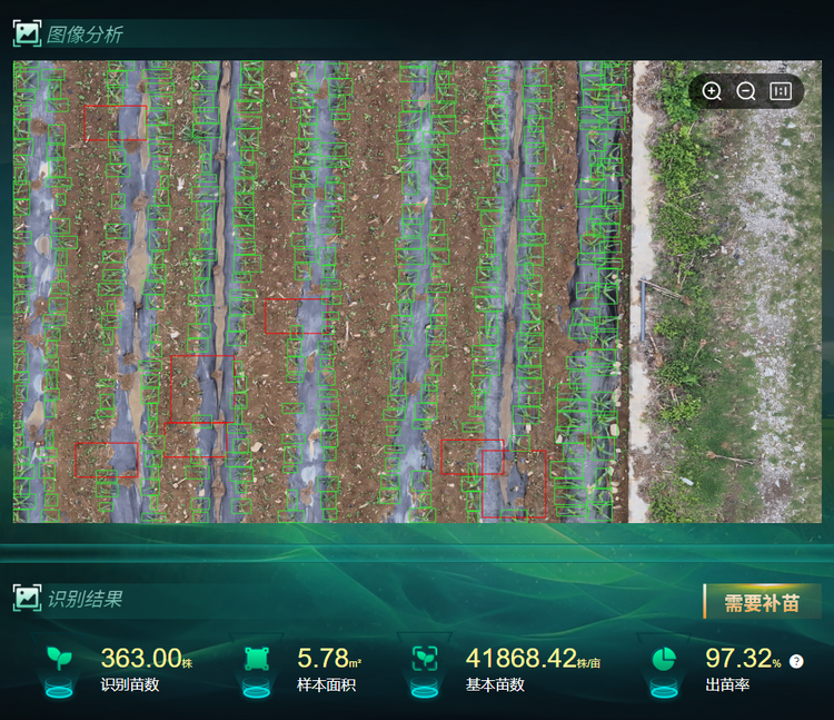 1764754764457297.png 出,苗率.png