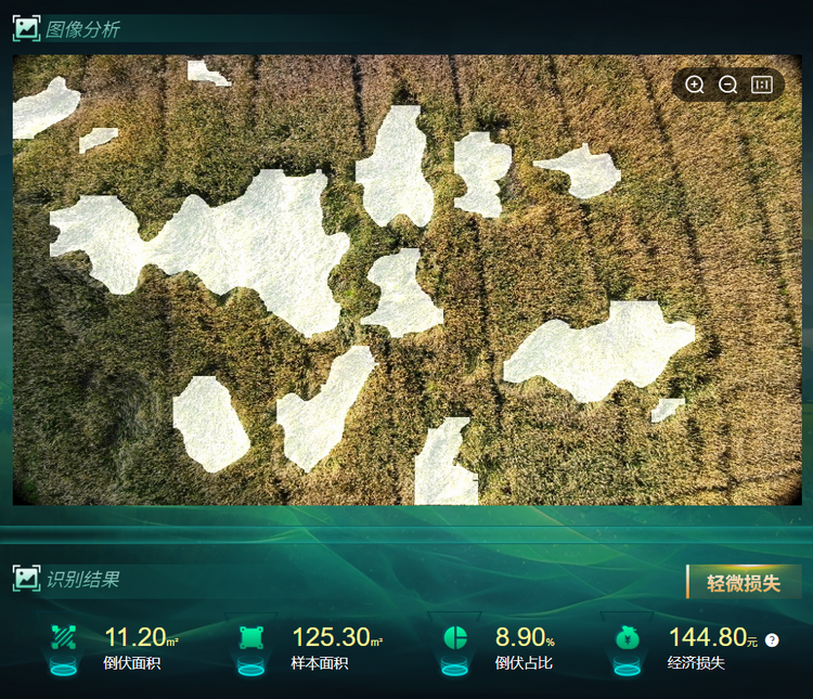 1764754786629614.png 倒伏分析.png