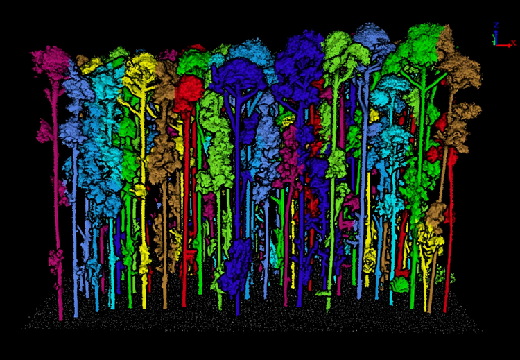 1764754810543068.png 果树分析.png