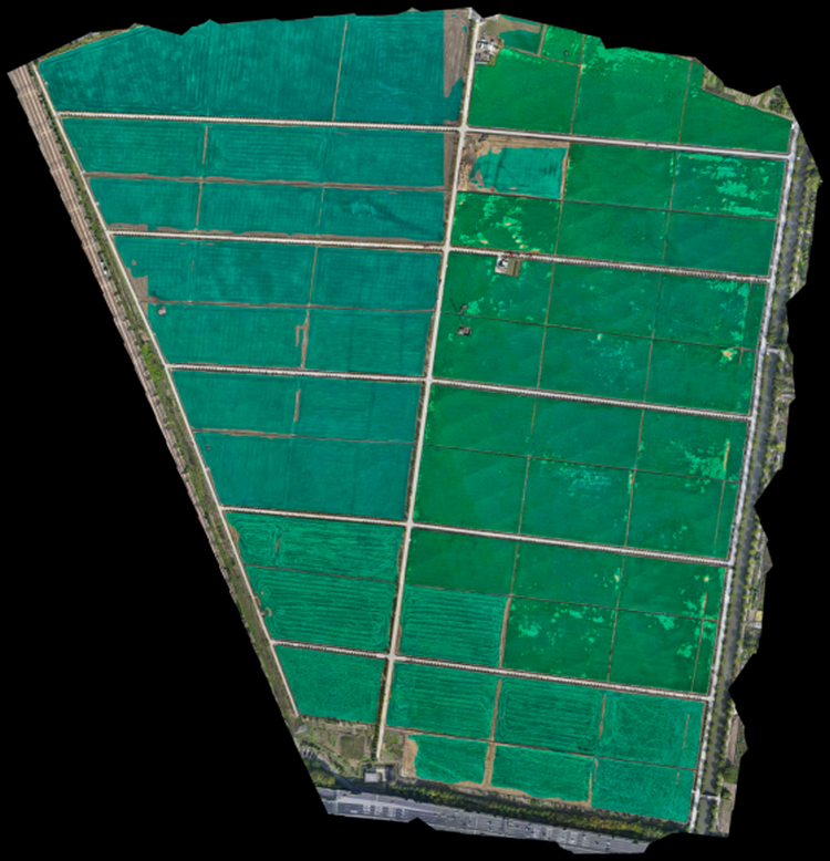 1764754945487719.png 种粮补贴考核.png