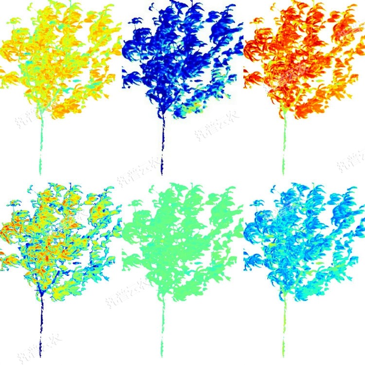 1764927146194880.jpg 果树解析图.JPG