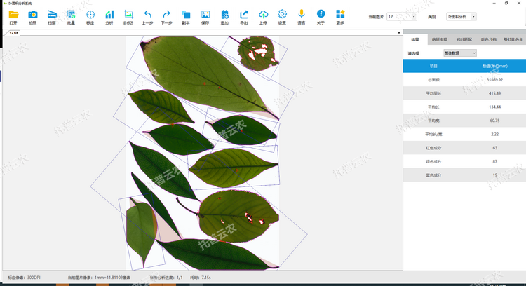 1767678690514357.png 叶面积分析.png