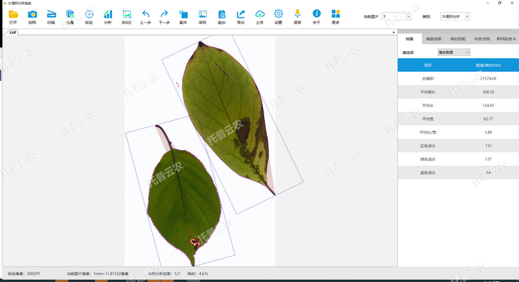 1767678709613309.png 叶面积分析1.png
