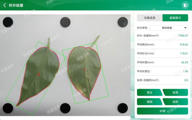 整体分析 - 副本.jpg