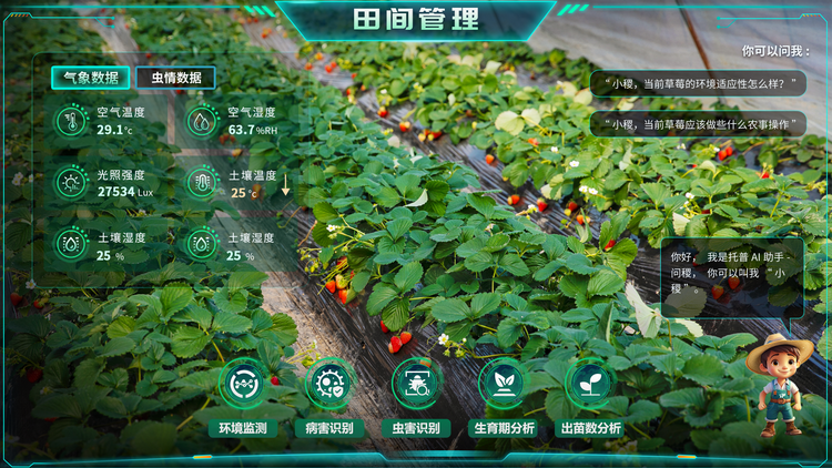 1768268072396047.png 田间管理.png